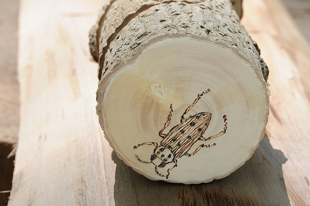 ワークショップ：田中 彰「木版ワークショップ」