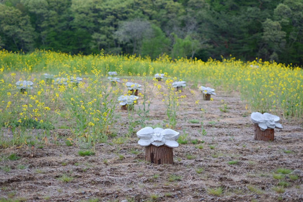 土地ドレコレクション in 小砂