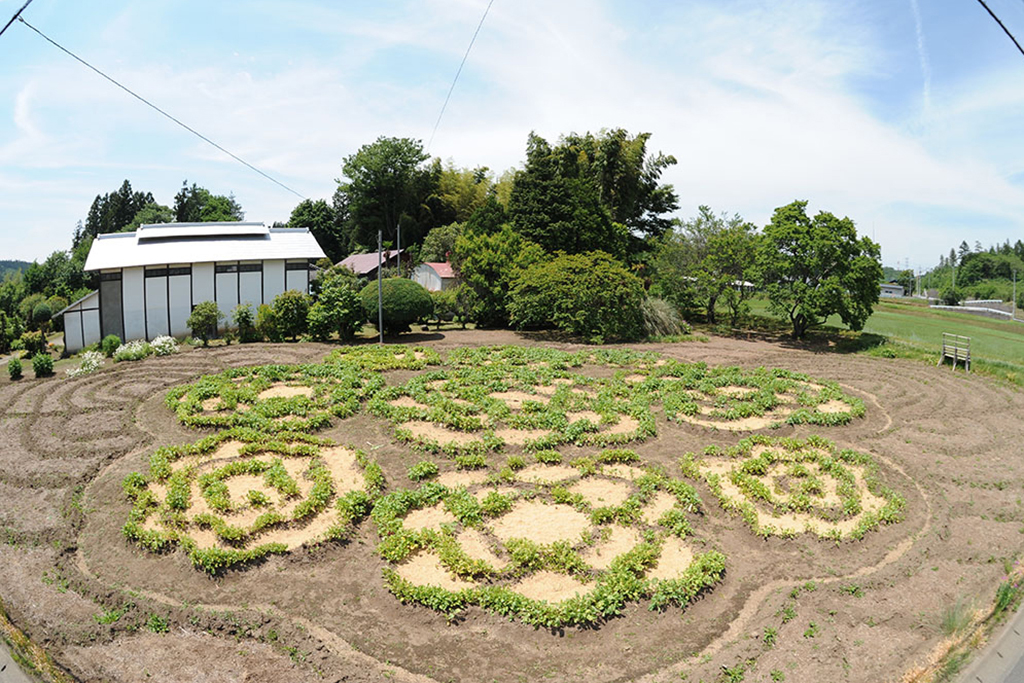 土地ドレコレクション